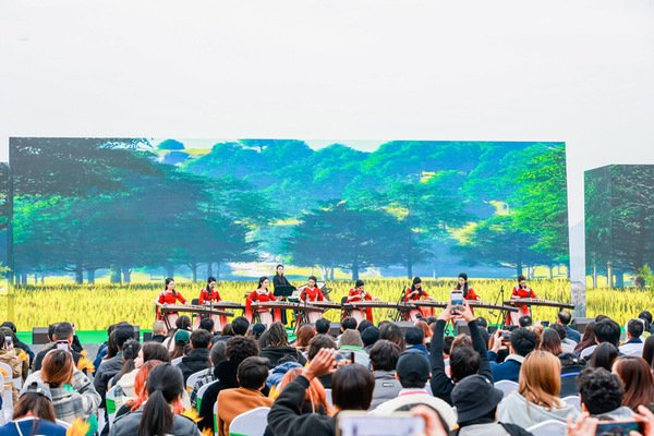 国际交流合作处