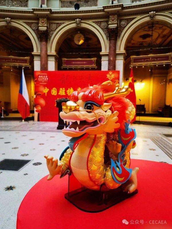 中资企业人员
