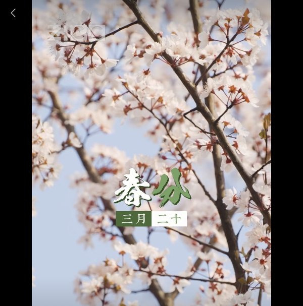 愿你在这充满希望的春日里