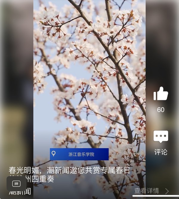 潮新闻邀您共赏专属春日的杭州四重奏