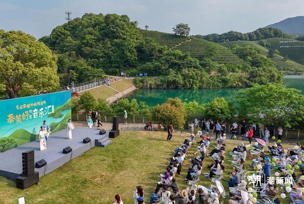 杭州西湖区转塘街道何家村的茶园大草坪