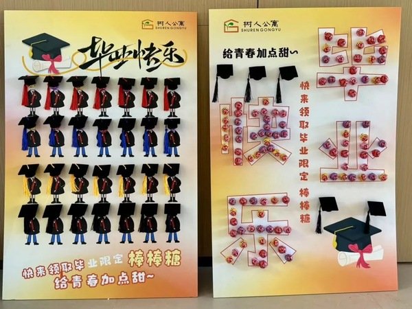 亲手种下一片向日葵花海